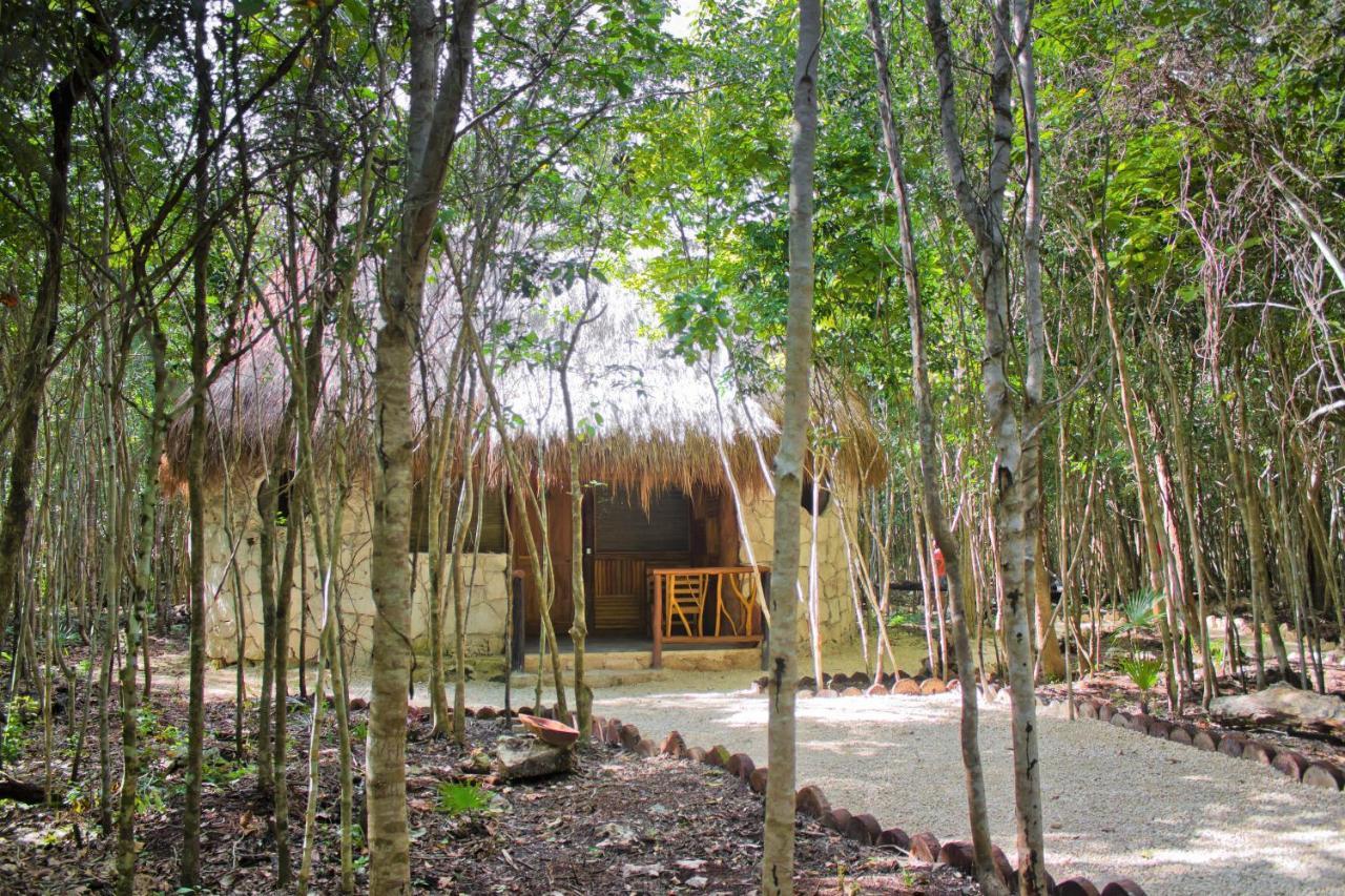 Aldea Maya-Ha Cabanas Con Cenotes Пуэрто-Морелос Экстерьер фото