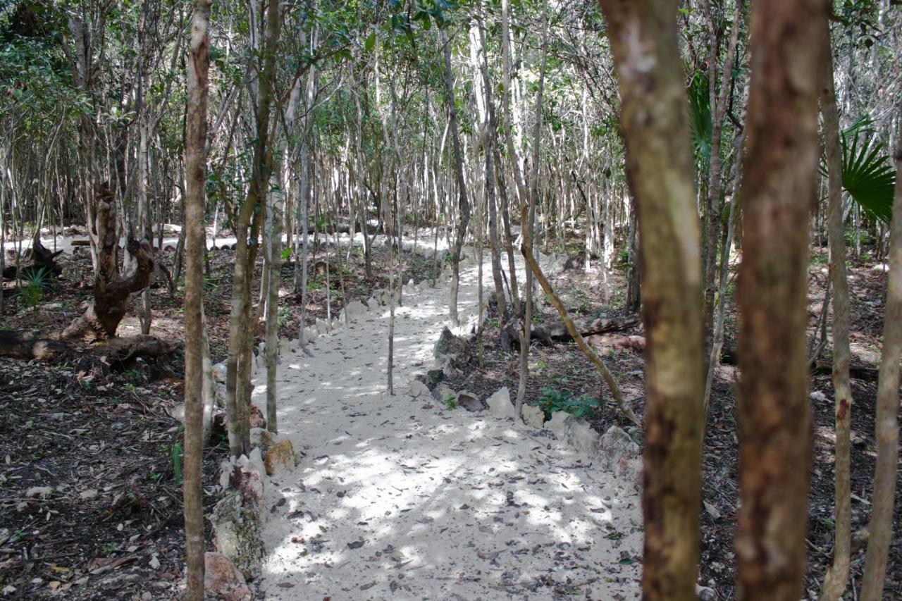 Aldea Maya-Ha Cabanas Con Cenotes Пуэрто-Морелос Экстерьер фото