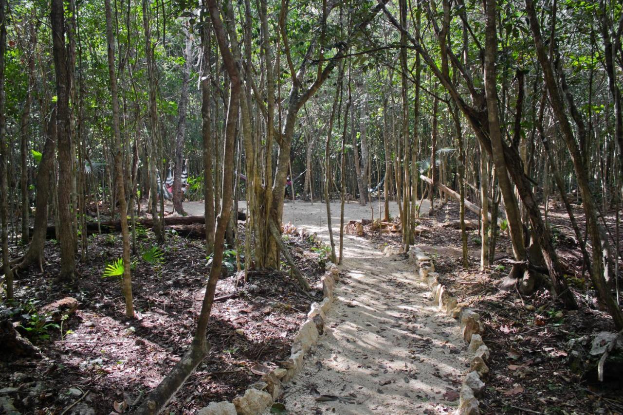 Aldea Maya-Ha Cabanas Con Cenotes Пуэрто-Морелос Экстерьер фото